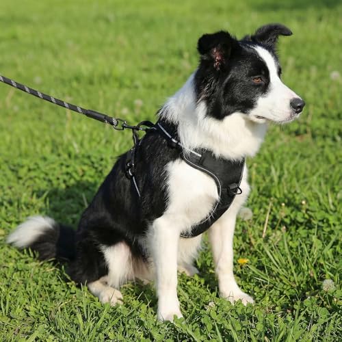 Image of Amazon Basics No-Pull Dog Harness, Soft Padded Adjustable Vest with Reflective Stripes, Large, Black