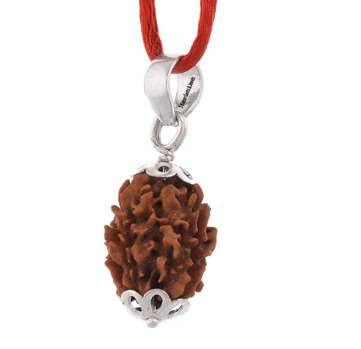 S Kumar Gems & JewelsThree 3 Mukhi Silver(Pendant/Pandent) Certificate Nepali Pure Siddha Rudraksha (Three Mukhi) X-Ray