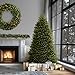National Tree Company 9 ft Unlit Dunhill Fir Full Artificial Christmas Tree, 4,026 Tips, Includes Stand, Green