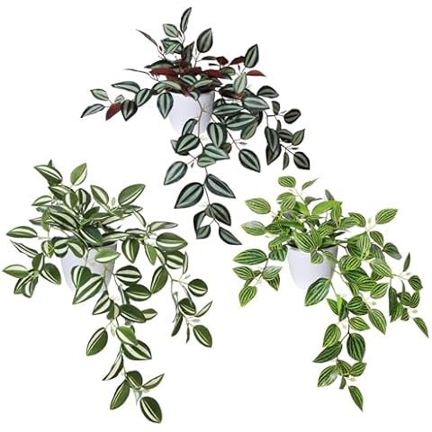 SOGUYI Fake Plants, Artificial Plants 15 Inch Faux Peperomia Watermelon Plants for Indoor Outdoor Decor,Realistic Artificial Hanging Plants in Pot for Home Office Perfect Housewarming Gift,3 Pack Cover