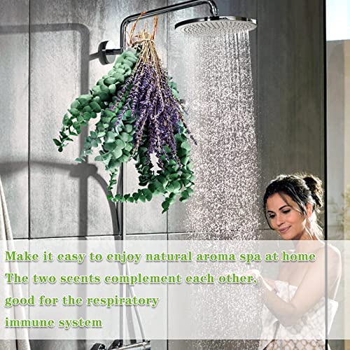 Dried Eucalyptus Stems & Lavender Mix Shower Bundle- Natural Real Fresh Eucalyptus Plant For Shower Spa Home Office Decor Photo Props-Natural Fragrance #TOP4