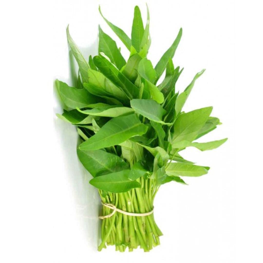 Navya Agriallied Desi Water Spinach Kalmi Naari Saag 300 Quantity Leafy Vegetable Seeds for Home and Kitchen Garden (B099X7VMBK) Amazon Price History, Amazon Price Tracker