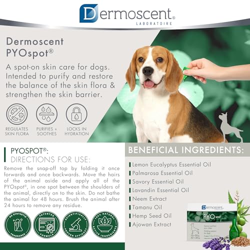 Pyo Spot Cane 10-20Kg - 3