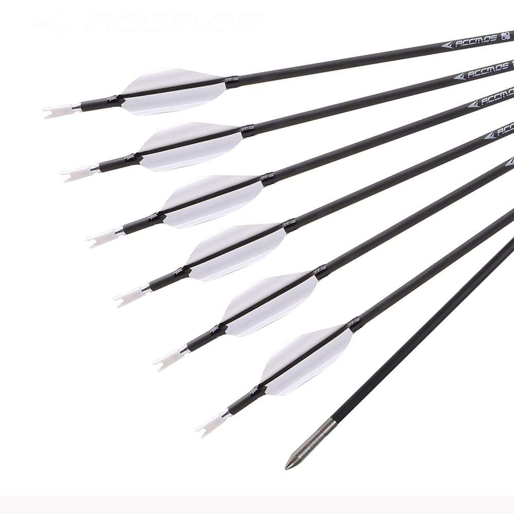 12 Pezzi Frecce con Piume a Spirale, Lunghezza Dell'asta 31 Pollici, ID 3,2 mm, Spine 600 (White)