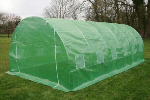 6m x 3m x2m Extra Wide Polytunnel with Galvanised 25mm Diameter Steel Frame Greenhouse Poly tunnel