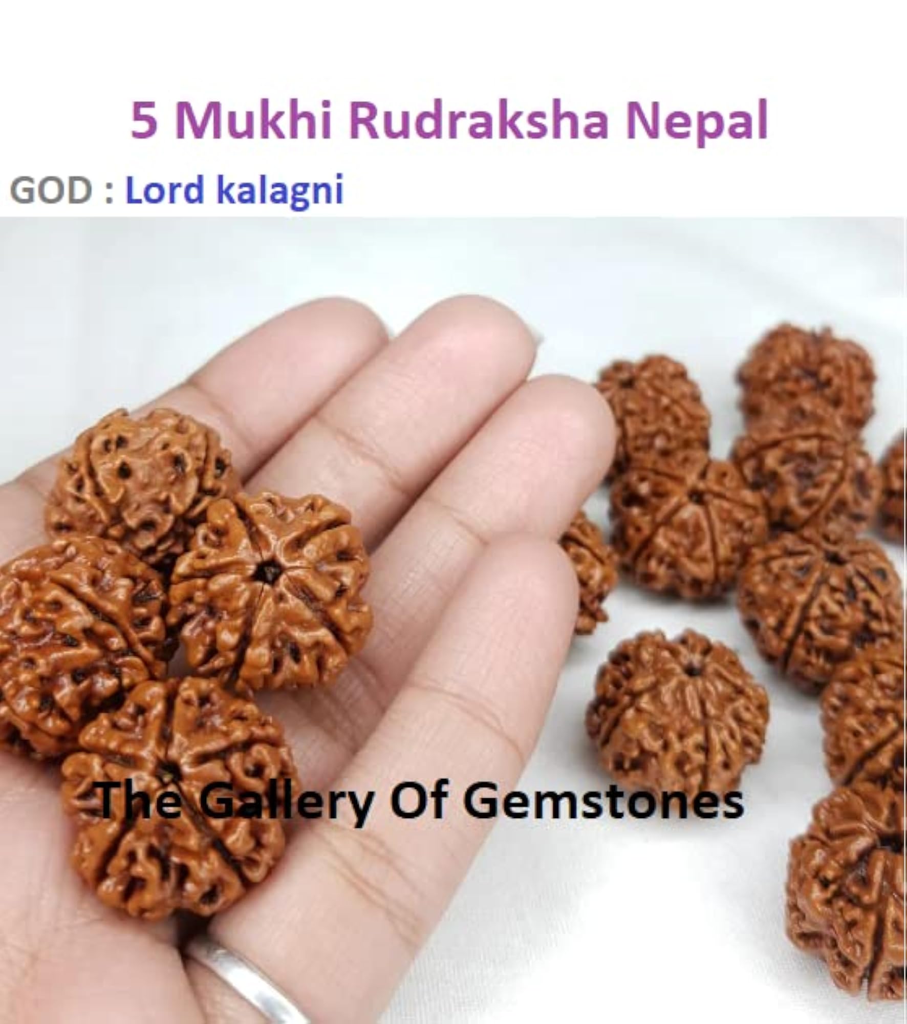 5 Mukhi Rudraksha Mala, 108 Beads, Unisex