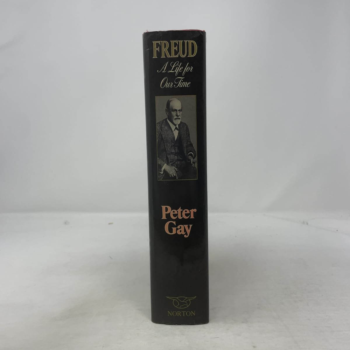 Freud: A Life for Our Time