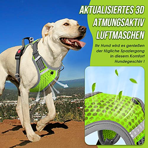 Eyein Hundegeschirr für Kleine Mittelgroße Hunde, Air Mesh Atmungsaktiv Brustgeschirr mit weichem Griff und Abschließbare Karabiner, ausbruchsicher reflektierend Hund Geschirr für Welpen, Grün, S