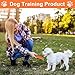 Parastar 3 Stück Hundespielzeug Karotte,Hundespielzeug für Kleine Hunde Welpenspielzeug Set,Puppy Karotte Seil Spielzeug Geflochtene,Kauspielzeug Welpe für Kleine Mittelgroße Welpen