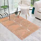 Tiffasea Modern Area Rug 3'x5', Machine Washable Entryway Rug Cotton Woven Bedroom Rug Reversible In
