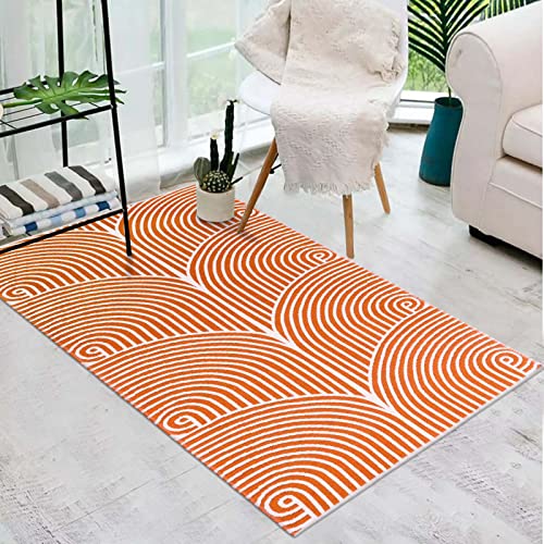 Tiffasea Modern Area Rug 3'X5', Machine Washable Entryway Rug Cotton Woven Bedroom Rug Reversible Indoor Door Mat Outdoor Rugs Front Door Rug Accent Throw Rugs For Living Room/Laundry/Kitchen #TOP8