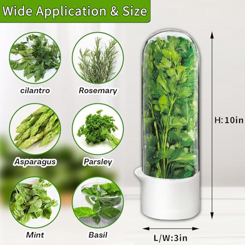 Herb Saver for Refrigerator, Herb Saver Pod Cilantro Containers for Refrigerator, Fresh Herb Keeper for Cilantro, Parsle - Additional View