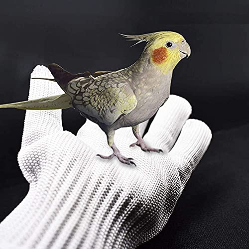 Training Anti- Bijt Handschoenen, Vogel Huisdier Kleine Dieren Kauwen Beschermende Handschoenen Stalen Draad… - Afbeelding 3