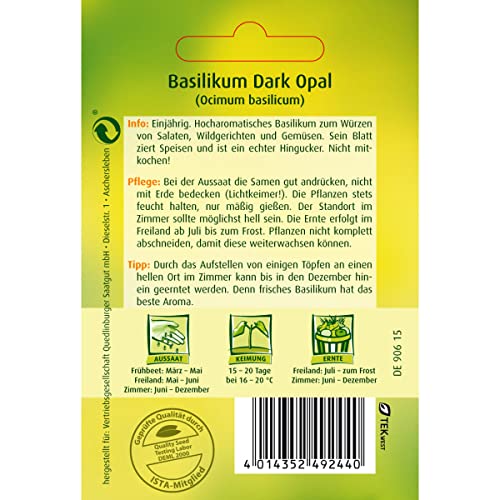 Foto von Basilikum, Dark Opal