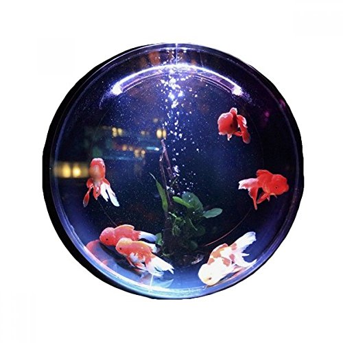 Tapis de pet de sol rond poissons multicolores science nature pour porte et cuisine 60cm