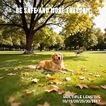 Tie Out Cable for Dogs Heavy Duty, 10/15/20/25/30/50FT Dog Runner Chain for Small Large Dogs, Chew Proof, Tangle-Free Dog Leads Tether for Yard, Outside- Up to 400 pounds