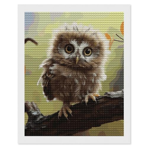 Kit peinture au diamant 5D FodPand broderie strass loisirs créatifs adulte 40x50