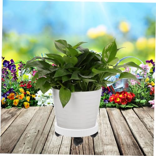 Base de rouleau facile à assembler pour pots de fleurs et aquariums