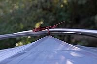 Vista 8 de Tiendas Cross Canyon para 3 personas