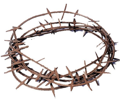 Crown Of Thorns (Plastic), Color-Brown, Fits One Size