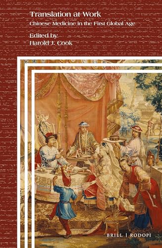 Translation at Work: Chinese Medicine in the First Global Age: 100 (Clio Medica, 100)