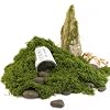 Caiyjhao Simulated Green Moss Crafts, Flowerpot Decorative Fillers, Green Decorations in the Center of the Dining Table, Indoor Flowerpots, DIY ，Weddings, Easter, Party Decorations (5.29 Oz) #1