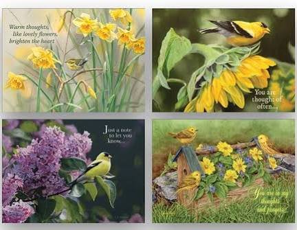 CPG Card-Boxed-Shared Blessings-Thinking of You 2-Birds (Box of 12)