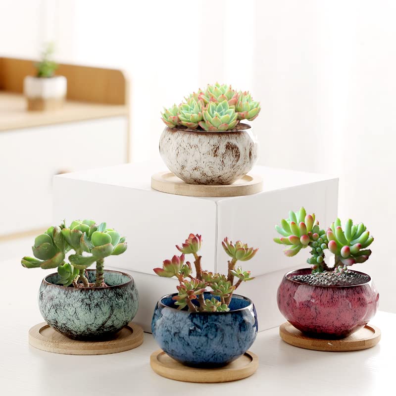 Pots de fleurs en céramique anti humidité stagnante pour sauver vos mini plantes d'intérieur
