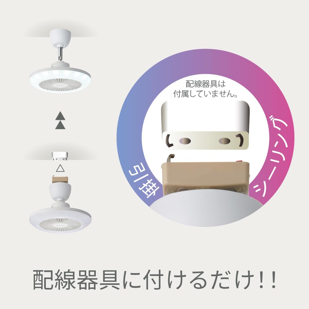 Amazon | ドウシシャ サーキュライト ソケットシリーズ 引掛けモデル