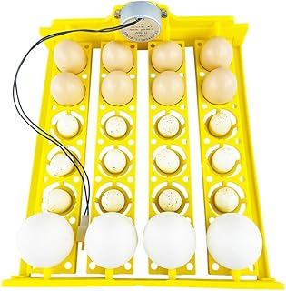 Plastic Egg Incubator Hatching Tray 24 Chicken Egg Tray 110V for Incubator Spare Parts