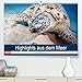 Produktbild Highlights aus dem Meer - Tauchkalender (Premium, hochwertiger DIN A2 Wandkalender 2021, Kunstdruck in Hochglanz)