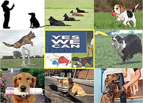 Rechargeable Small Dog (3 ~ 12 lbs) Remote Training 10 Level Shock Vibrate Collar (AT-211D-350W)