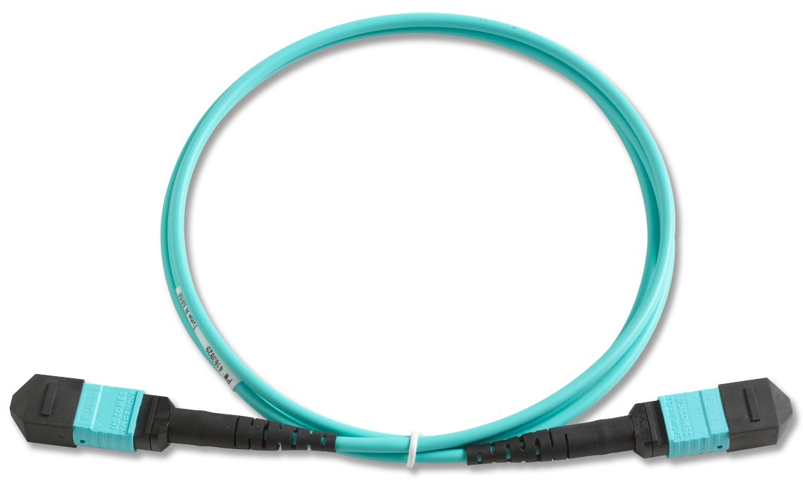Fluke Networks TRC-MPO-PP-B Test Reference Cord with MPO/MPO, Pinned/Pinned, Type B Polarity, 1m Length, Fiber Tester Accessory
