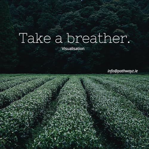 『Visualisation - regina@pathwayz.ie』のカバーアート