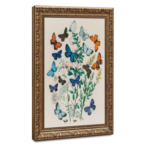 Papillon William Forsell Kirby giclée vintage pour s'évader depuis son bureau
