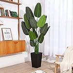Fopamtri Artificial Bird of Paradise Plant 6 Feet Fake Palm Tree with 13 Trunks Faux Tree for Indoor Outdoor Modern Decoration Feaux Plants in Pot for Home Office Perfect Housewarming Gift - Image 5