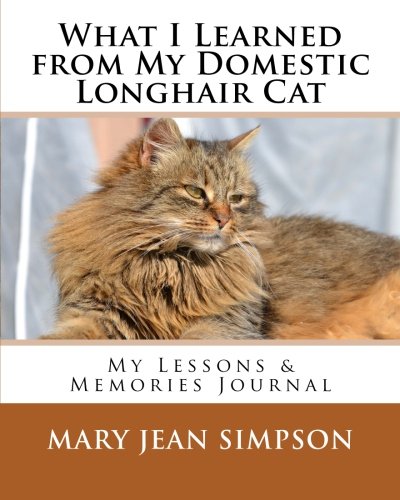 What I Learned from My Domestic Longhair Cat: My Lessons