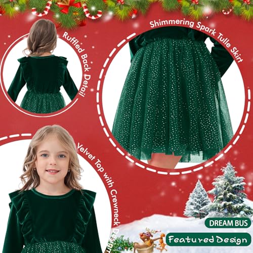 DREAM BUS Toddler Girl Christmas Dress Baby Girl Long Sleeve Ruffled Velvet Top Tulle Dress Special Occasion Dress4