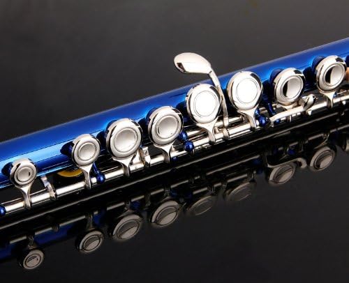 Glory Closed Hole C Flute With Case, Tuning Rod and Cloth,Joint Grease and Gloves Blue
