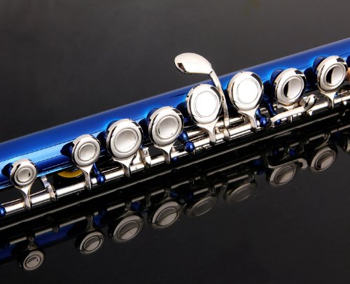 Image of Glory Closed Hole C Flute With Case, Blue