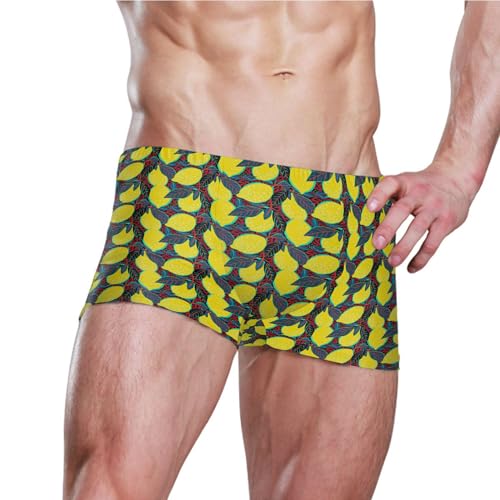 Lemon Fruit Summer Mens Swim Trunk Swimwear Bathing Suit Swim Brief Square Leg Board Short S B04050823