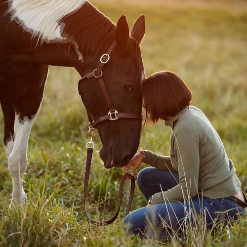 Episode One: My Journey with Horses