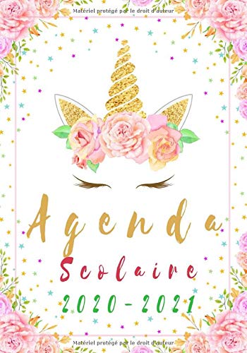 Télécharger AGENDA SCOLAIRE 2020-2021: agenda scolaire fille licorne ,pour le college et lycee ,+ calendrier 202 livre En ligne