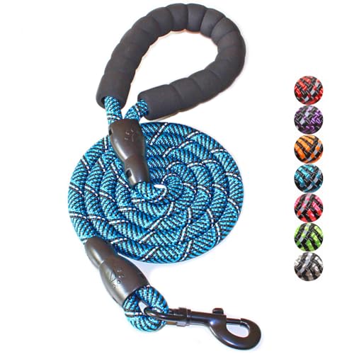 BAAPET 2/4/5/6 FT Dog Leash with Comfortable Padded Handle and Highly Reflective Threads for Small Medium and Large Dogs (5FT-1/2'', Black Blue)