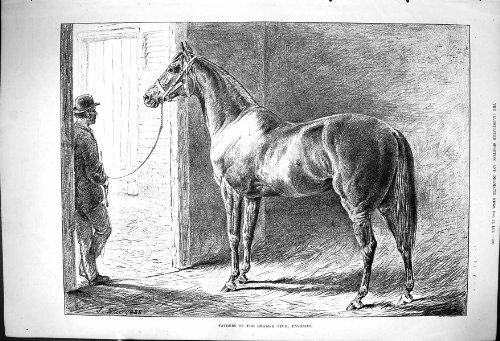 Una Stampa Antica della Scena Inglese della Stalla...