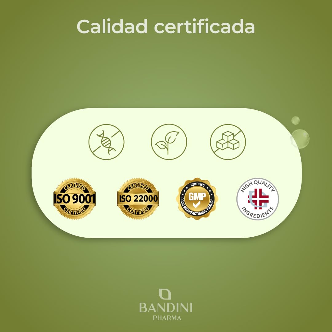 Bandini® NAD+ Liposomal 1100 mg | 120 Cápsulas Veganas | Con Cloruro de Ribósido de Nicotinamida, Quercetina, Resveratrol, Coenzima Q10 | Antienvejecimiento, Energía Celular, Sin OMG