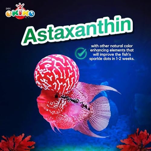 Okiko OKIKO.RED-M500 Flowerhorn Fish Food Floating Pellets Medium 2 Mm Head Up Quickly Huncher Formula High Protein Tropical Fish Feed Astaxanthin Plus Color Enhancing Healthy Fast Growth thumb #2