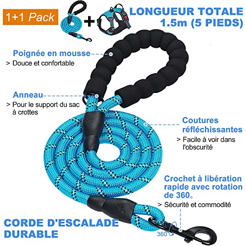 haapaw – Harnais anti-traction pour chien de taille moyenne et grande, réglable, en tissu Oxford réfléchissant, facile à contrôler, avec une laisse robuste gratuite - Image 4