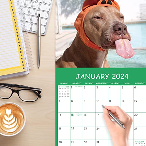 20232024 Wall Calendar Fun Dogs Wall Calendar 20232024, Cute Puppies Calendar, Jan. 2023
