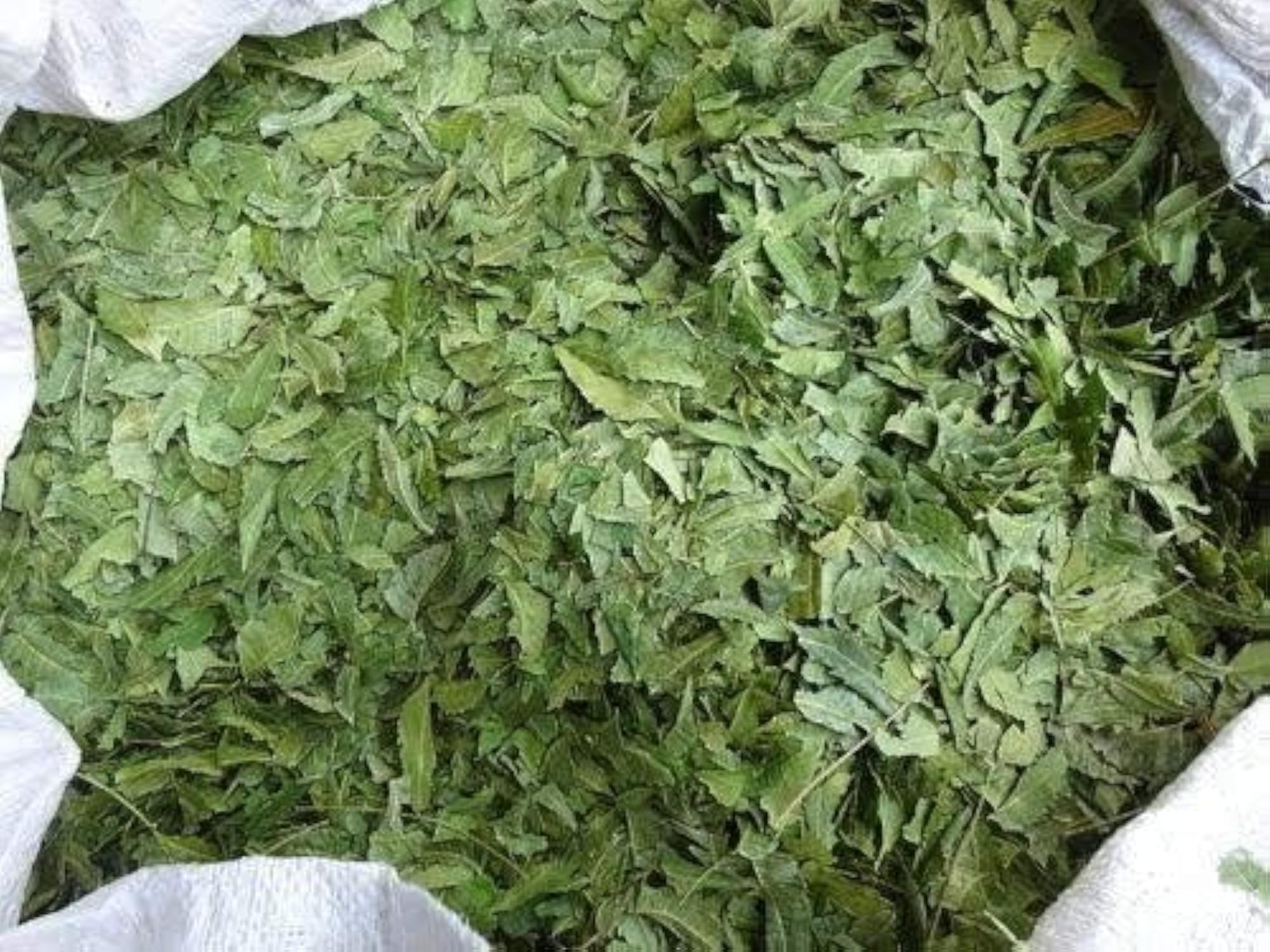 Neem Leaves Granules, 100g
